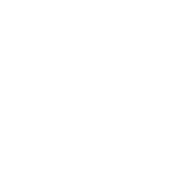 Politecnico di Torino